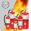 Standard Dry Chemical Buckeye Fire Extinguisher