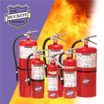 Purple K Dry Chemical Buckeye Fire Extinguisher